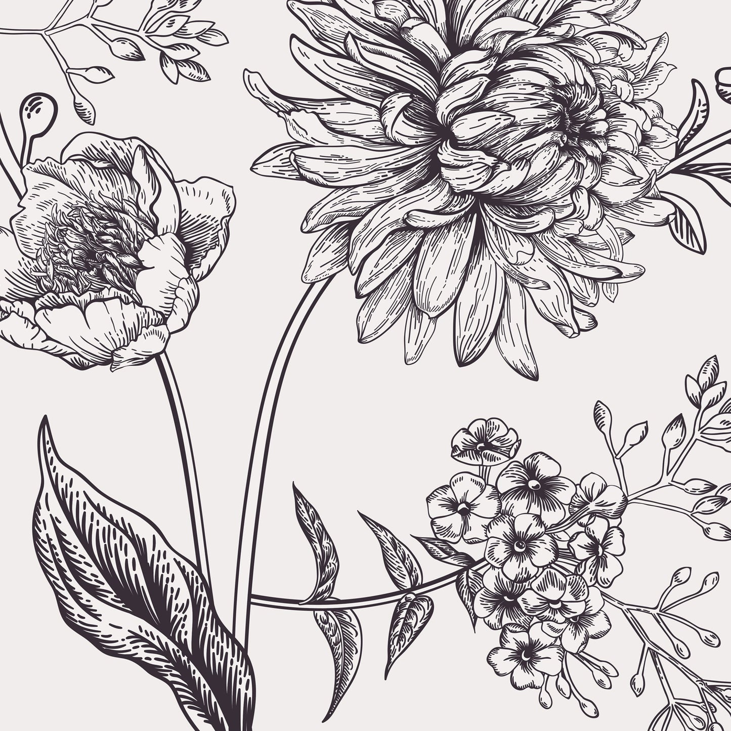 Sketch & Bloom Wallpaper Collection