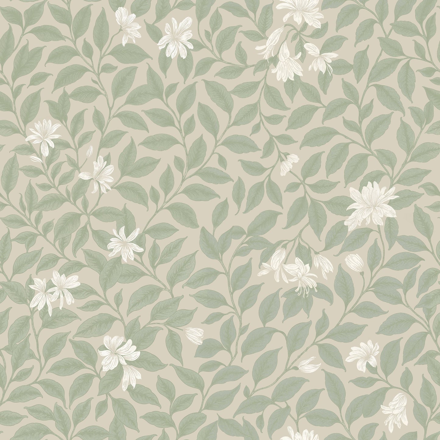 Poppy Honeysuckle Large (Cream) Wallpaper