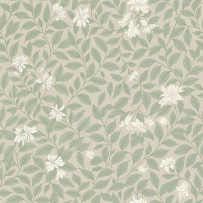 Poppy Honeysuckle Large (Cream) Wallpaper